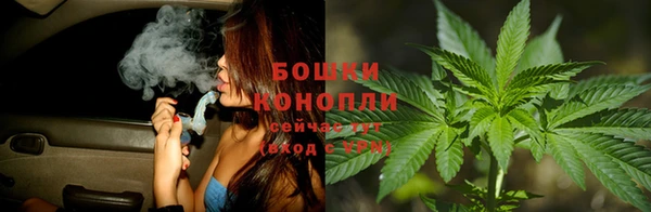 ешки Аркадак
