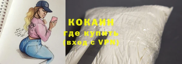 тгк Снежинск