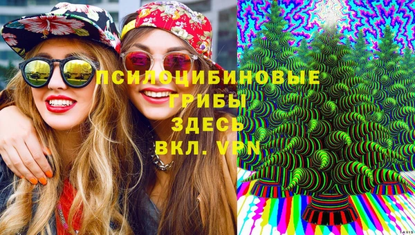 ешки Аркадак