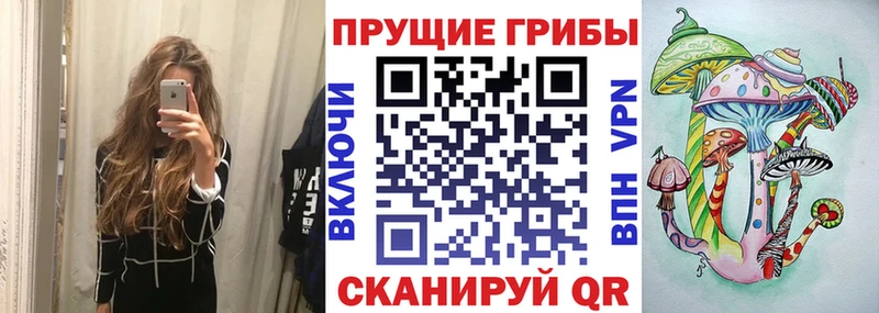 Псилоцибиновые грибы прущие грибы Инсар
