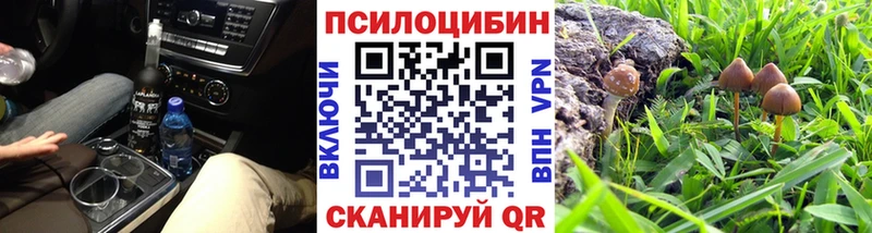 магазин продажи наркотиков  Инсар  Галлюциногенные грибы GOLDEN TEACHER 